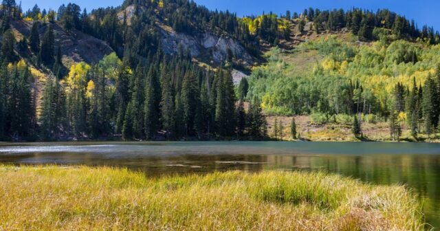 Senator Mike Lee Menghapus Ketentuan Tanah Publik dari "RUU Besar, Cantik" Trump
