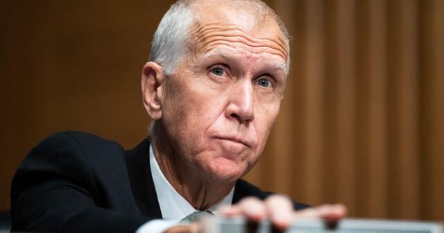 Senator Thom Tillis mengumumkan bahwa dia tidak akan mencari pemilihan kembali setelah Trump mengancam tantangan utama
