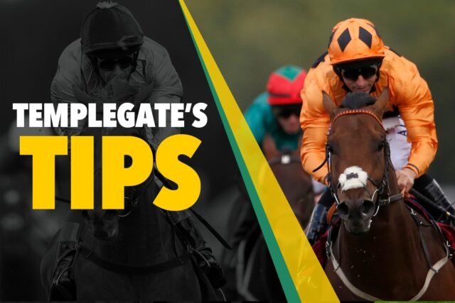 Tips Balap Kuda: 'Dia tidak membuat kesalahan sepanjang musim' - Templegate's Nap Sulit Untuk Disetor pada hari Selasa
