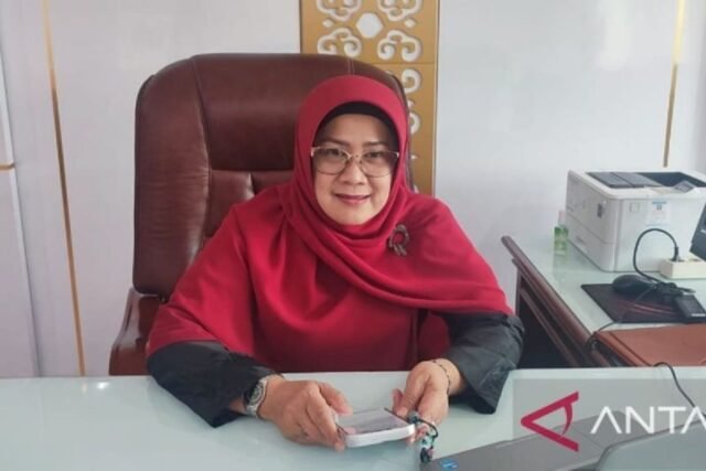 Bangka Selatan dipandang sebagai pemasok padi MBG potensial

