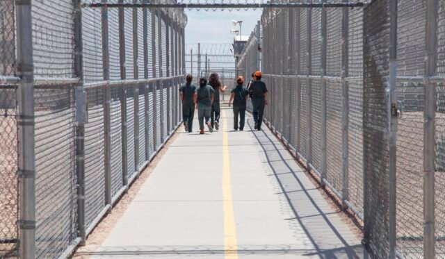 Ice berjalan kembali deportasi cepat imigran lama tanpa sidang pengadilan
