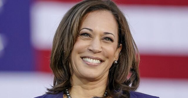 Kolom: Kamala Harris tidak akan menyembuhkan apa yang membuat Partai Demokratik
