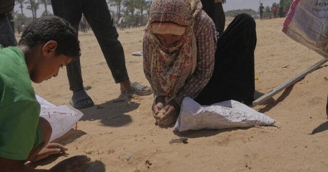 Lusinan terbunuh sebagai warga Palestina di Gaza berebut bantuan dari udara dan darat
