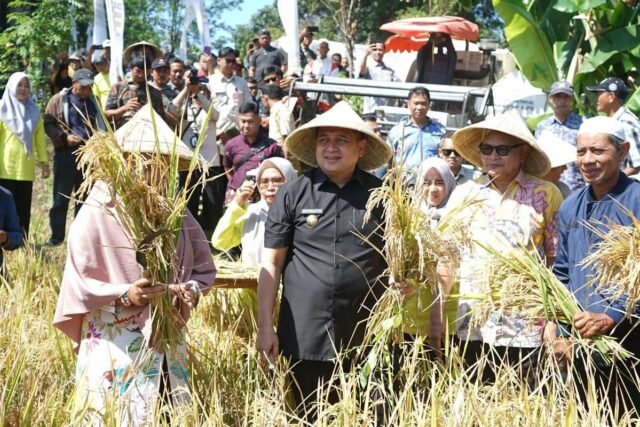 Makassar mendesak plot kota untuk digunakan untuk produksi beras
