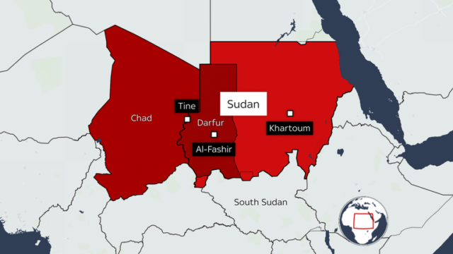 Sudan: Ribuan orang menggunakan makan hewan untuk bertahan hidup di Al Fashir | Berita Dunia
