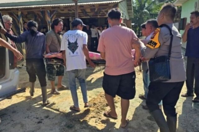Sumatra gajah menghancurkan wanita riau sampai mati: bksda

