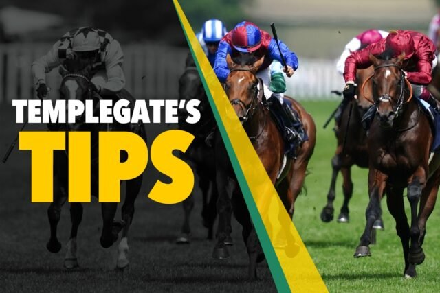 Tips Balap Kuda: 'Dia pergi ke tanah apa pun dan tiba setelah yang terbaik pribadi' - Templegate's 5-1 Nap
