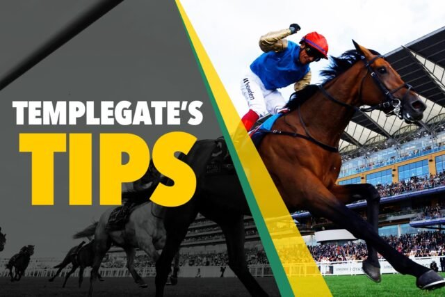 Tips Balap Kuda: 'Dia terlihat siap untuk langkah ini di kelas' - Templegate's Big Saturday Nap berjalan di Haydock
