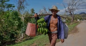 Badai Melissa kembali memberikan pukulan berat bagi para petani dan nelayan Jamaika Badai Melissa kembali memberikan pukulan berat bagi para petani dan nelayan Jamaika