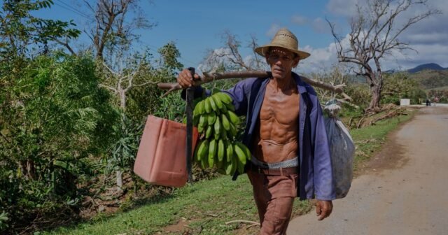 Badai Melissa kembali memberikan pukulan berat bagi para petani dan nelayan Jamaika
