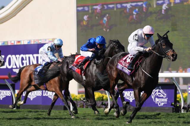 Willie Mullins yang terkejut memuji kemenangan 'besar' saat Ethical Diamond memberikan kejutan 28-1 di Del Mar
